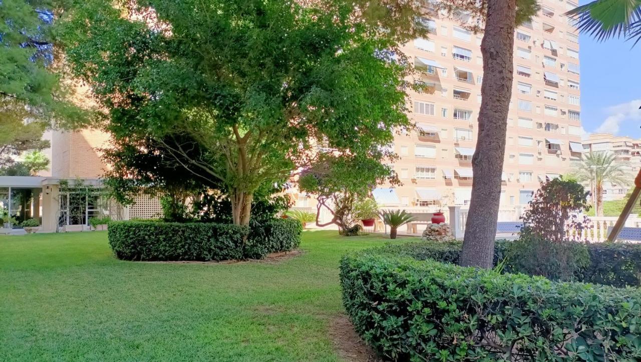 Holidays At My Spanish Grandma アリカンテ エクステリア 写真