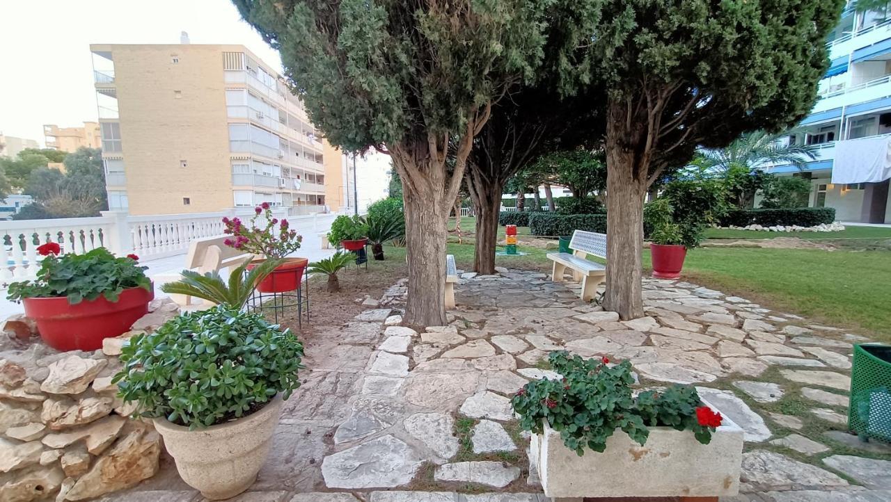 Holidays At My Spanish Grandma アリカンテ エクステリア 写真